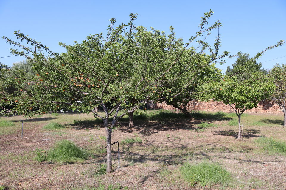 Farm hause in Palafrugell