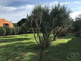 Magnifique ferme à Esclanya, proche de tous les services et entourée par la nature.