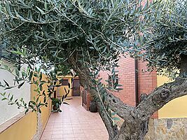 Casa unifamiliar amb pati i piscina a Palafrugell